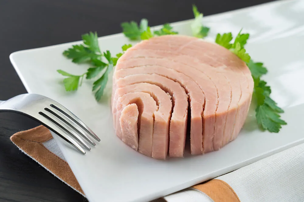 Premium seafood products - Tuna with olive oil